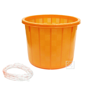 A ی^n ij 21L Ђt ~R~