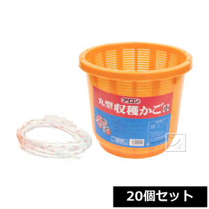 y@lzz A ی^n ij 8L Ђt i20Zbgj ~R~