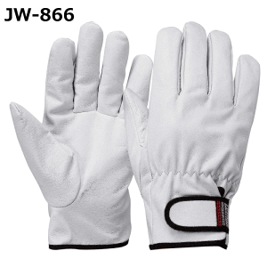 ӂ ؊v h ؃NXg }WbN JW-866 LTCY 1o ~R~