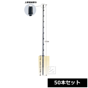 dq dC #289 Qb^[EGFO|[ 50{Zbg ~R~