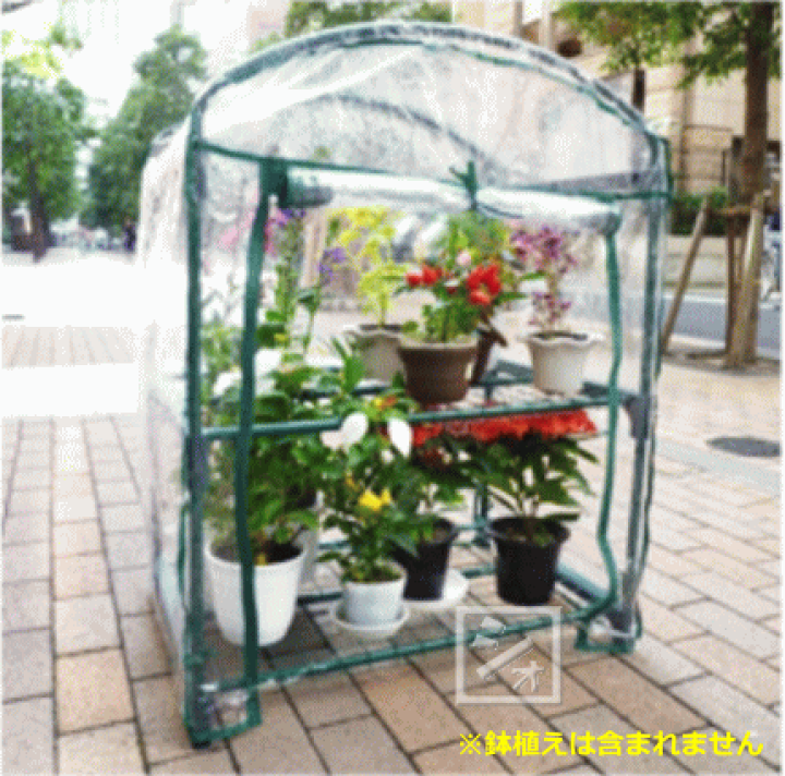 【特価セール】マルハチ産業(Maruhachisangyou) 簡易温室 グリー Amazon.co.jp: マルハチ産業(Maruhachisangyou) 簡易温室 グリーン