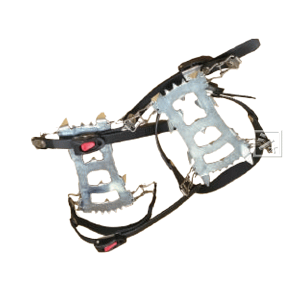 n[gtWp | ƕ⏕ C[W[XpCNv 6{