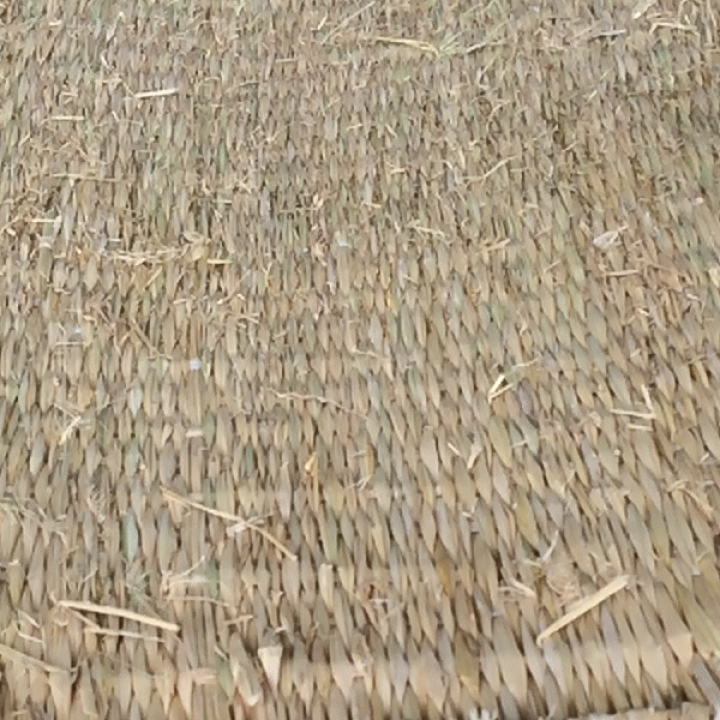 楽天市場】農用 藁むしろ 約93×180cm 約1畳 （約2.5kg） （5枚セット） ~R~ : ねっとんや