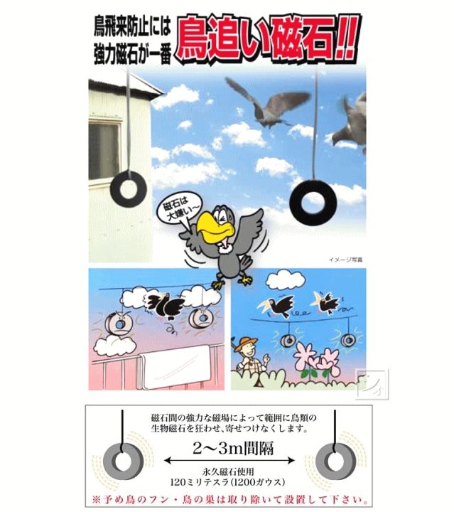 爆買い送料無料 10ガウス 永久磁石使用 日本製 鳥の飛来防止には強力磁石が一番 超強力 鳥追い磁石 ２個セット Mtb 00 1909 Idvn Com Vn