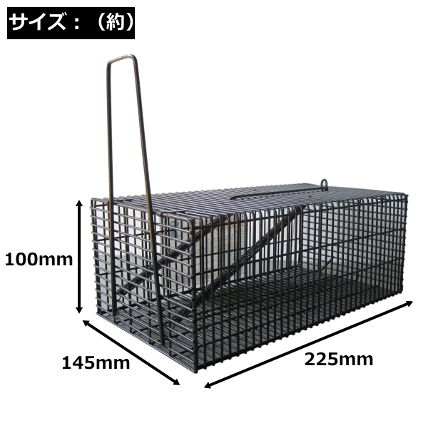 独特の素材捕獲器 角型ハウス ネズミ捕り コンパル ブラック <BR>（約14.5×22.5×高さ10cm） ~R~ 防鳥・防獣用品 