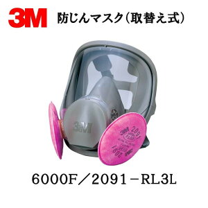 3M h}XN 6000F/2091-RL3L LTCYSʌ`ʑ+2091ߍ 