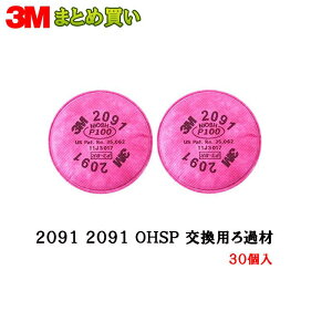 3M h}XN 2091 OHSP pߍ 21g×30g (P[X̔) 