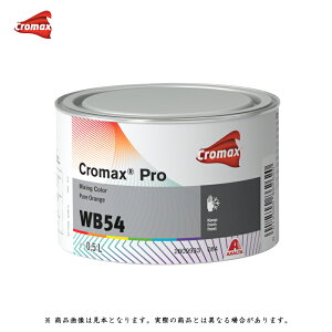 アクサルタ クロマックスプロ WB54 ピュアオレンジ 0.5L 取寄
