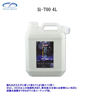 �N���X�^���v���Z�X B01400 Si-700 4L×1�� ���[�J�[�����i
