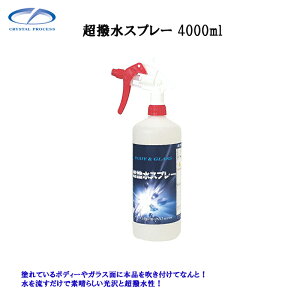 NX^vZX C02400 Xv[ 4L×1 [J[i