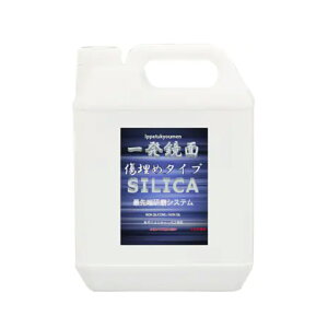 �N���X�^���v���Z�X G23200 �ꔭ���ʏ����߃R���p�E���h 2L×1�� ���[�J�[�����i