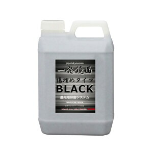 �N���X�^���v���Z�X G24200 �ꔭ���ʏ����߃R���p�E���h(�u���b�N) 2L×1�� ���[�J�[�����i