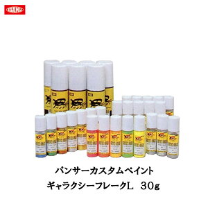CTh pT[ JX^yCg MNV[t[NL 20g 