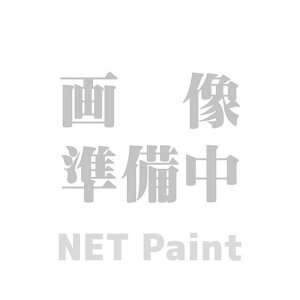 �֐��y�C���g 166-001 KAR�A���_�[�R�[�g �z���C�g 0.42L ���