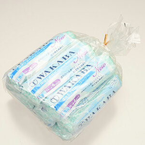 大塚刷毛 NEW マルテー WAKABA スモール 4S-WAC 4インチ8ミリ×10本 取寄