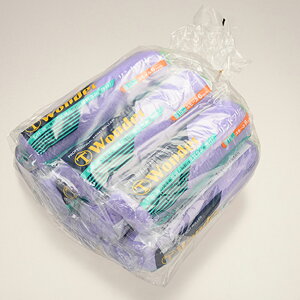 大塚刷毛 WONDERローラー B スモール 6S-WOB 6インチ15ミリ×10本 取寄