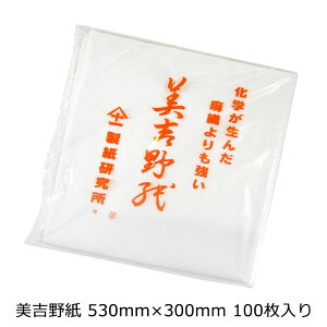 ˍ g쎆 530mm×300mm 100 
