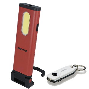 WFgX GENTOS LED nfB[NCg GZ-123  USB[dL[CgZbg OTGZ-123 