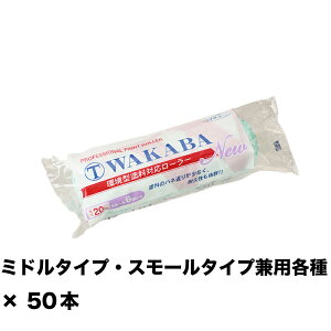ˍ NEW }e[ WAKABA 20~ X[ 6S-WAA 6C` ×50{ 143433 0006 