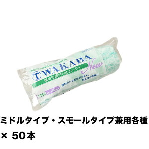 ˍ NEW }e[ WAKABA 13~ X[ 4S-WAB 4C` ×50{ 143434 0004 