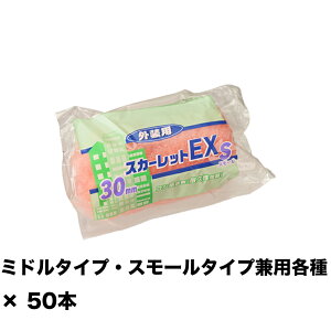 ˍ XJ[bgEX[[ X[ 4S-SC30 30~ 4C` ×50{ 155632 0004 