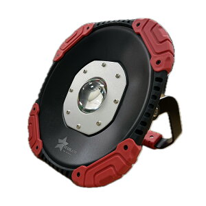 KTZ KTZ-NATURE LIGHT-B �l�C�`���[���C�gB �n���f�B�[���C�g 24W 2,400lm 6,000K Ra98 ���