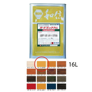 aMwH K[hbNPro GP-13 ؐF 16L 