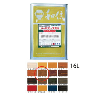 aMwH K[hbNPro GP-9 I[N 16L 