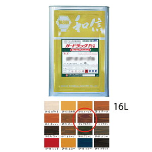 aMwH K[hbNPro GP-4 }zKj[ 16L 