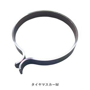 g} 523^CE}XJ[yEʃ^Cp M 