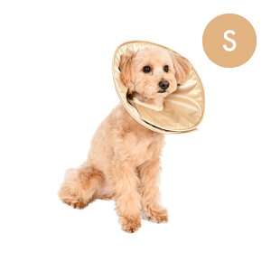 y[J[z Docpal ybgpGUxXJ[iSTCYj SARABiO