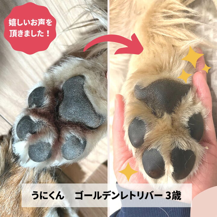 楽天市場 8 31エントリーp10倍 獣医師 推奨 肉球乾燥 赤み ひび割れ 保湿ケアにdocpal ドクパル 肉球オイル 犬 猫 無添加 無香料 ペットが舐めても安心 スキンケア オーガニック 30ml 保湿オイル サラビオ Sarabio Sarabio温泉微生物研究所