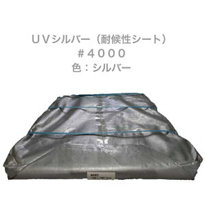 UVVo[(ό󐫃V[g)#4000@FFVo[