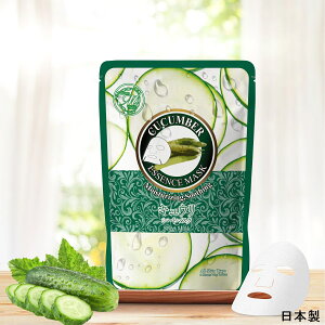 pbN V[g}XN {̍i}XNŔPAyMTSA00605-B-0z