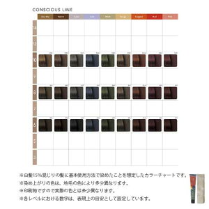楽天市場 ナンバースリー カラーコンシャス コンシャスライン 第1剤 アッシュ 80g ヘアカラー アルカリ性カラー おしゃれ染め プロ用 ヘア コスメshopネッツビー