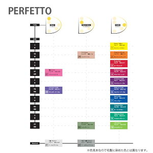 楽天市場 ナンバースリー パーフェット オリジナルカラー ライトアンバー シェードタイプ 150g ヘアカラー 酸性カラー ヘアマニキュア プロ用ヘア コスメshopネッツビー