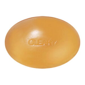 I[ NX^\[v 100g [  Ό  ΂ h  F XLPA Tꔄi  lC ϕi ] O'LEARY ev_pt