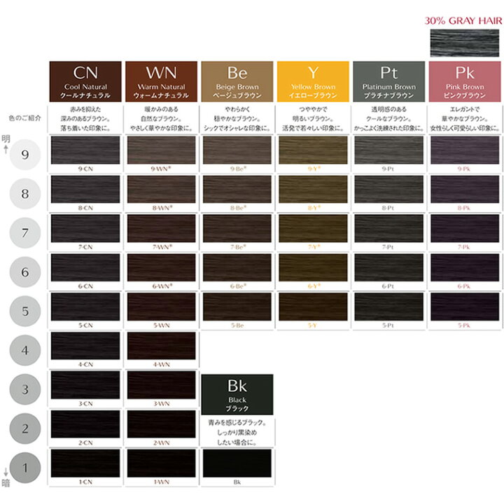 楽天市場】（廃盤）資生堂プロフェッショナル ディアニスト エクラ Pt  