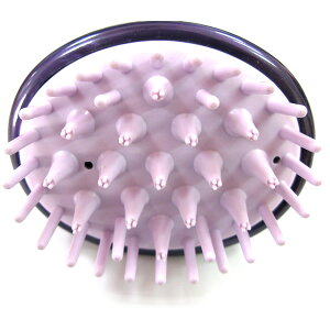 �i�`�������O���b�V�[ �V�����v�[�u���V GL-70 /1�yshampoo brush�z