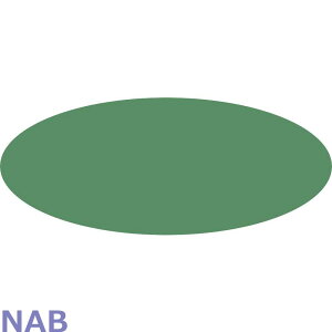 䉮 |CgJ[ ACJ[ip[nj / 2.2giS31Fj i[ Ήj nEB CN RXv 