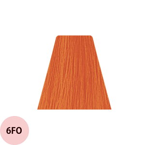 f~ gCNV jAXC SHINEiFO t@CIWj 1 / 80g y wAJ[ AJJ[  z