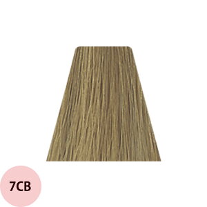 f~ gCNV uEC BROWNiCB N[uEj 1 / 80g y wAJ[ AJJ[  z