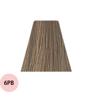 f~ gCNV uEC BROWNiPB v`iuEj 1 / 80g y wAJ[ AJJ[  z