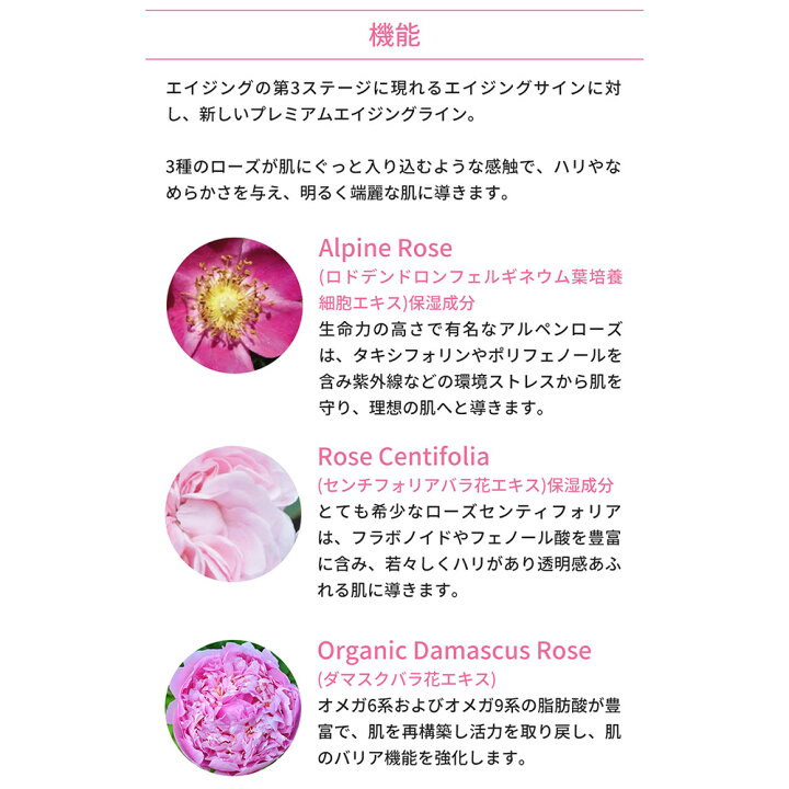 楽天市場】ドクタールノー オイル リプルパンロゼ N / 30mL : プロ用 