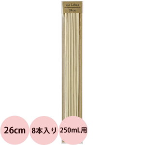 t[o[Ct AtA ^XeBbN 26cm / 8{iCj