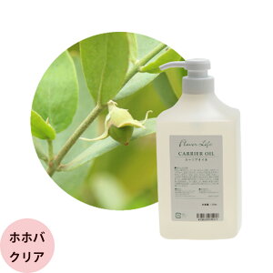 t[o[Ct LAIC zzoIC NA / 1000mL|v A}g[gg wAPA IC XLPA Tꔄi