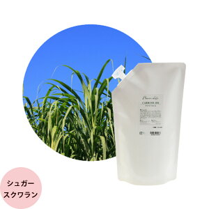 t[o[Ct LAIC VK[XNIC / 1000mLtB A}g[gg wAPA IC XLPA Tꔄi