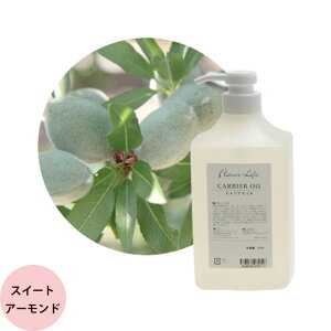 t[o[Ct LAIC XC[gA[hIC / 1000mL|v A}g[gg wAPA IC XLPA Tꔄi