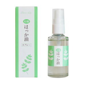 [ {Y ~g A} ] t[o[Ct a ͂ Xv[ 50mL A}es[ א R[~g jznbJ A} u  }XN K | Ԍ Lb` S~ Flavo