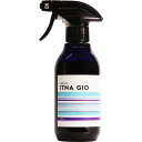 サラメンテ イッタナ ジオ 300mL [ 髪 ヘア 頭皮 スキャルプ 体 ボディ クレンジング ローション サロン専売品 処理剤 美容師 プロ用 ] For-Pro2 ITNA GIO ev_pt